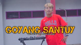 Goyang Santuy ( Remix ) CocoLense