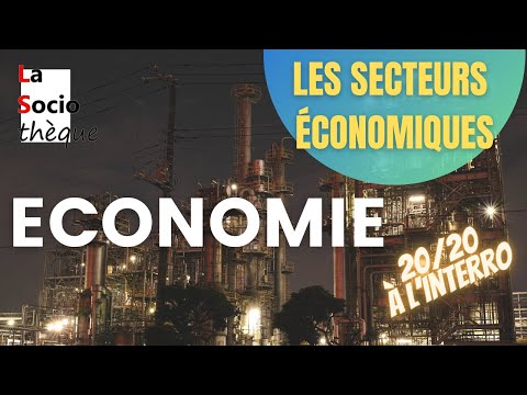 Qu’Est-Ce Que Le Secteur Primaire ?