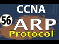 56 شرح الشبكات شرح ARP Protocol ARP Inspection شرح بروتوكول ARP 