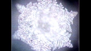 Energía del pensamiento y la palabra - Cristales de Agua - Dr Masaru Emoto