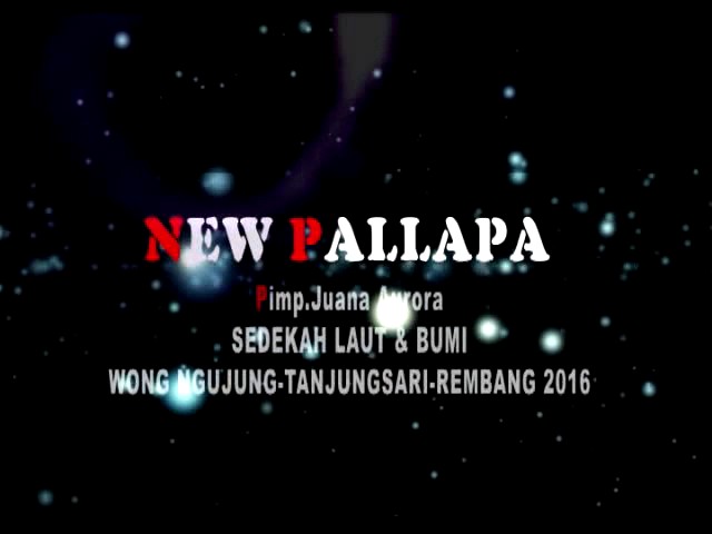New Pallapa - Mimpi Terindah live ngujung tahun 2016 class=