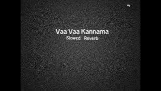 Vaa Vaa Kannama - slowed reverb