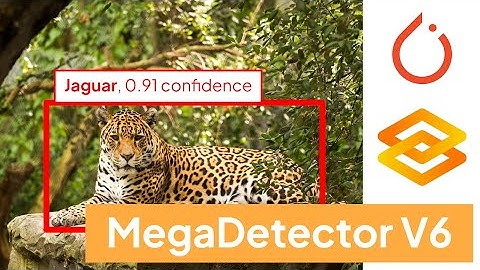 Automatic Camera Trap Detection Using MegaDetector and Deep Learning