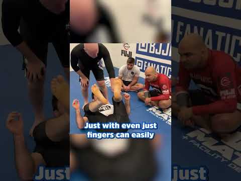The Biomechanics Secret To Passing ANY Guard - John Danaher