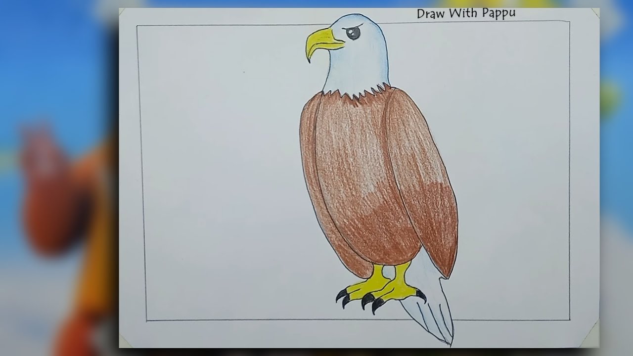 Eagle Drawing designs, themes, templates and downloadable graphic elements  on Dribbble