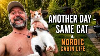 Another Day - Same Cat