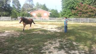 20120901_172421.mp4