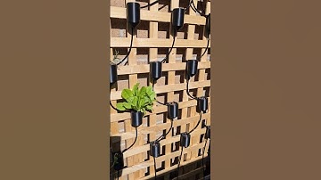 I used 3d printed pots and net cups to make my hydroponic wall