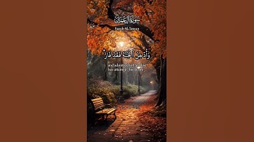 برواية السوسي عن أبي عمرو ﴿كل نفس ذائقة الموت﴾ عمرو شاهين #القراءات_العشر #قرآن #قراءات