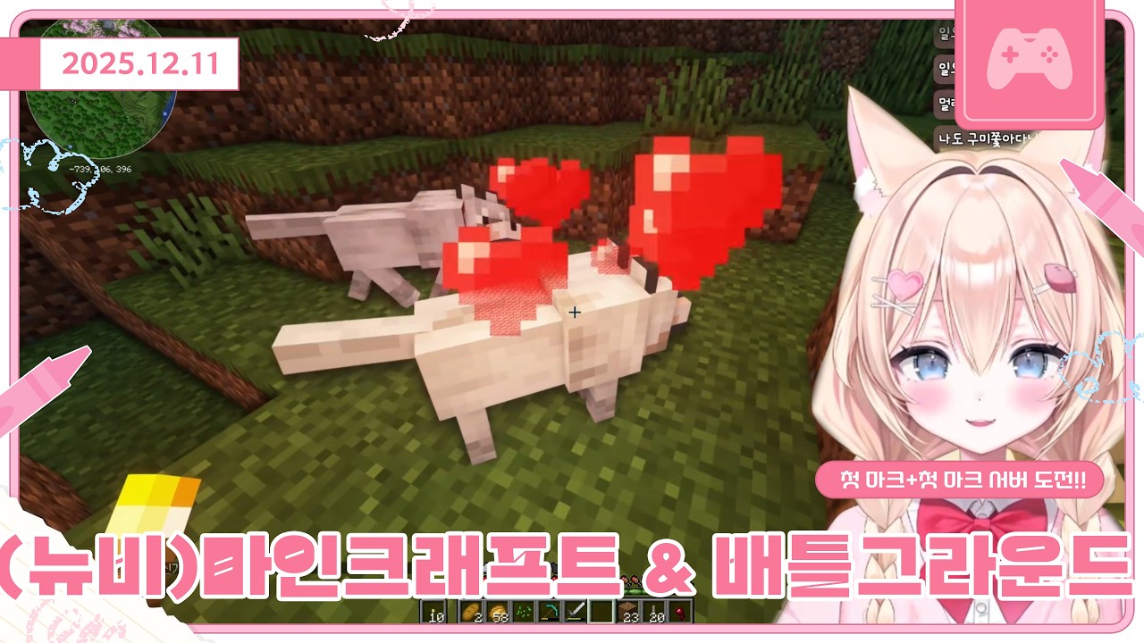 [25.12.11] 마인크래프트(뉴비/스타서버)+배그🍠