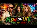 Pitbull x Shakira x Nola | FLOW OF LIFE | Best Remix 2026🔥 Tropical Reggae Ska EDM Party Mix
