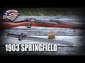 The 1903 Springfield Rifle / History and Features