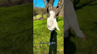 FAIRY CONTENT IS BACK! (watch out for hunters!) #fairytok #bringbsckfairys #fairyhunters
