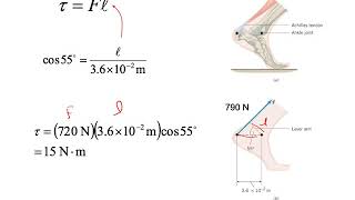Chapter 9 Rotational Dynamics•Priyantha