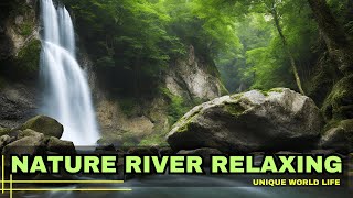 River Sounds For Sleeping 🌿 Nature River Peace Haven, Gentle ASMR River Cradles You to Tranquil