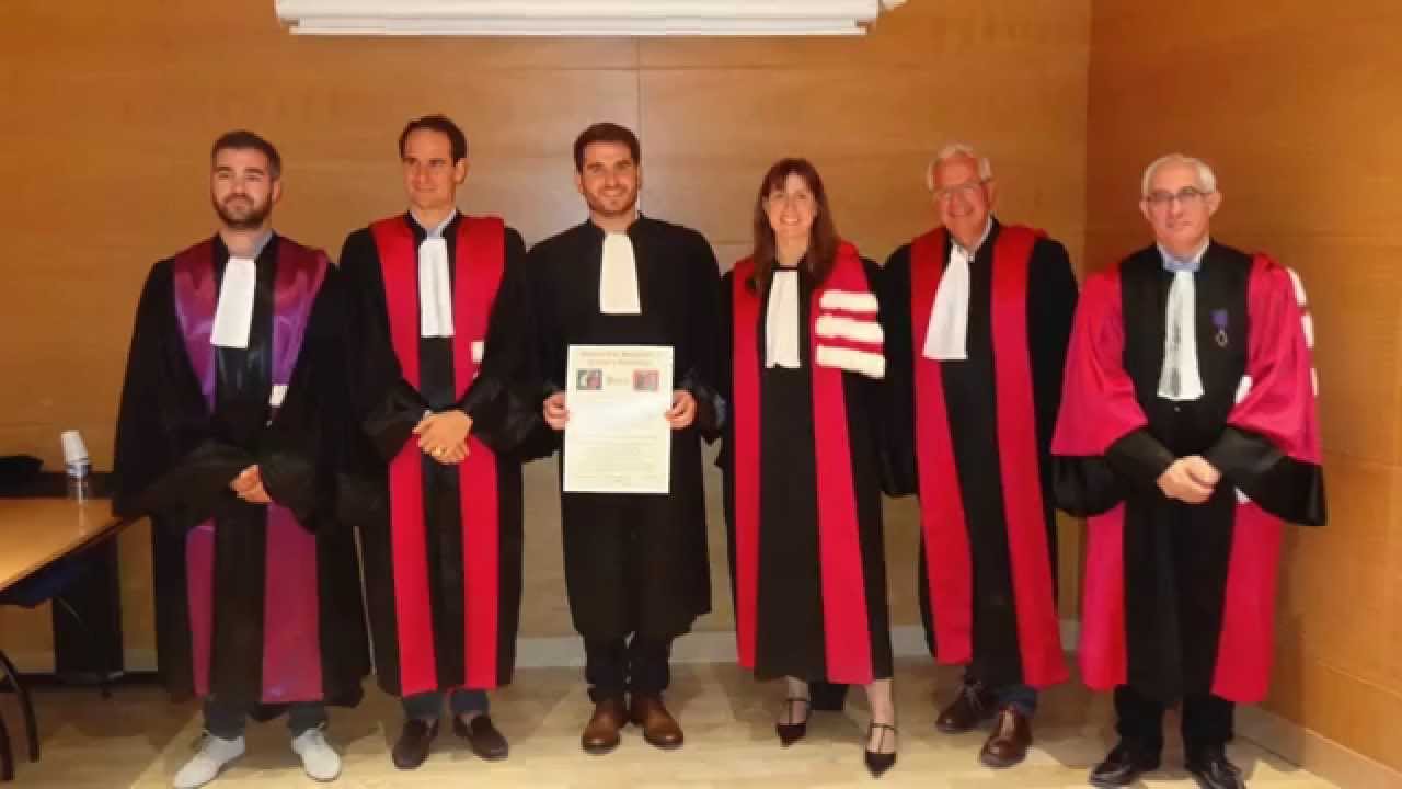 Thèse Yanni made in famille SAFIS , STAMATIOU , YALLOURAKIS, BALDE