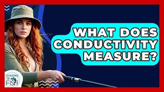 What Does Conductivity Measure? - Chasing Big Fish
