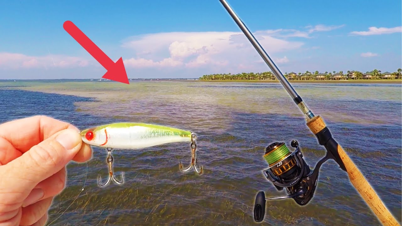 Fishing for TROUT and REDFISH In EXTREME Summer Heat!