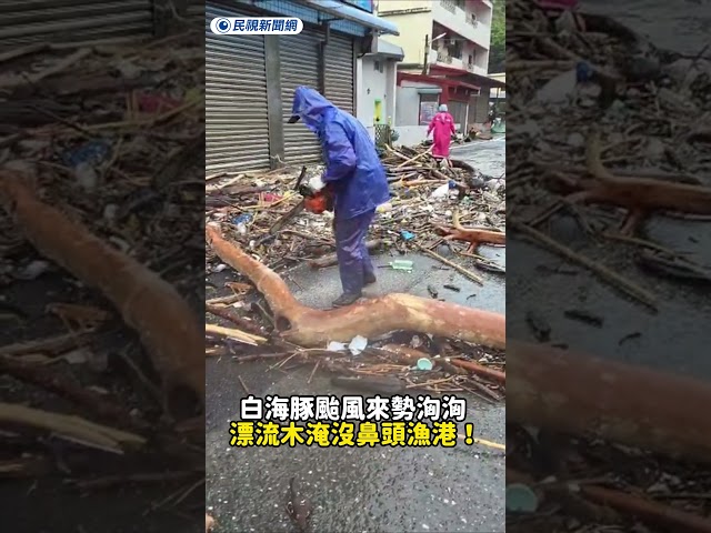 白海豚颱風來勢洶洶 漂流木淹沒鼻頭漁港 !｜民視新聞｜