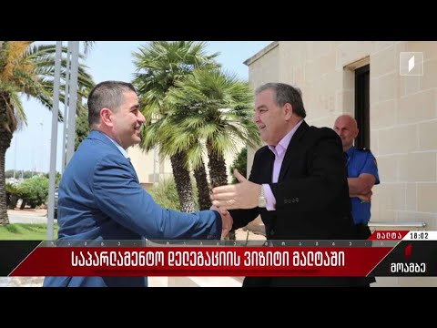 საპარლამენტო დელეგაციის ვიზიტი მალტაში