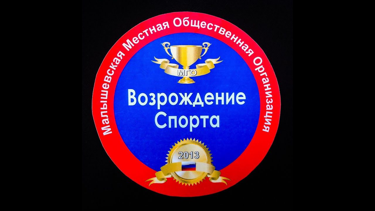 Общественная организация спорт. Возрождение спорта.