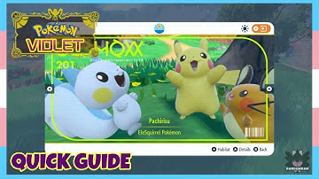 *Early Game After Mesagoza* Where To Catch Pachirisu In Pokemon Scarlet & Violet | Quick Guide