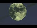 【無加工で】ザネリ/てにをは(cover妙音ひょうり)