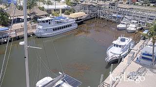 [LIVE] Key Largo Marina Live WebCam - Key Largo, Florida Keys
