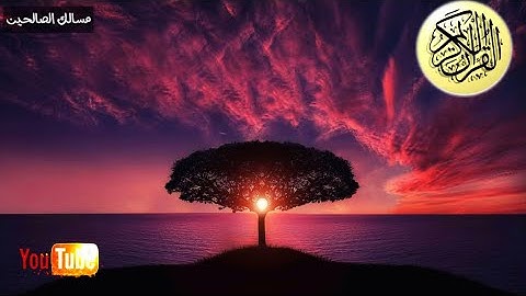 سوره الرحمن بصوت عجيب خاشع تهز القلوب سبحان من رزقه هذا الصوت(HD)