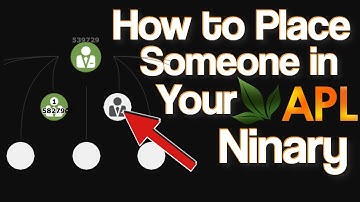 How to Place Someone in Your APL Go Binary