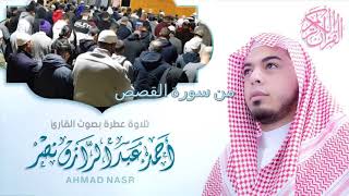 الشيخ أحمد عبدالرازق نصر - من سورة القصص