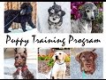 CHECK THIS OUT! Amazing Puppy Training Program Produces SUPER SMART Canines! CHECK THIS OUT! Amazing Puppy Training Program Produces SUPER SMART Canines!