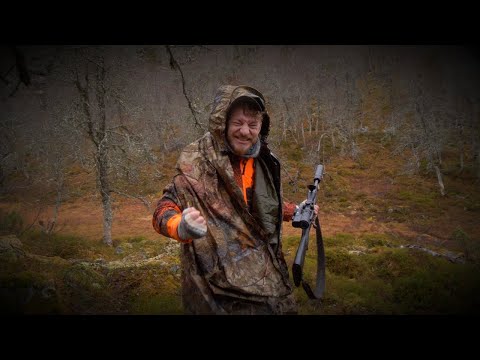 Video: Hvordan Jakte På En Bjørn