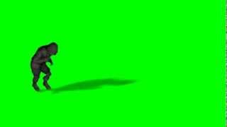 Gign animation + 2 old animations # Green Screen