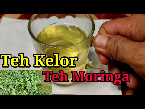 Cara Buat Teh Kelor atau Moringa