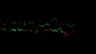Emma Blacklight Show 2016