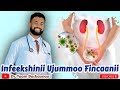 Infeekshinii Ujummoo Fincaanii Urinary Tract Infection Infeekshinii Ujummoo Fincaanii Urinary Tract Infection