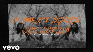 Mitski - I Don&#39;t Like My Mind (Spanish Lyric Video)