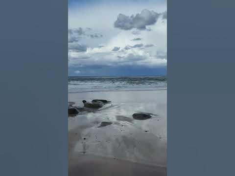 Unreal Engine 5 Realistic Water Physics || Unreal Engine Brushify Fluid