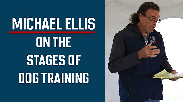 Michael Ellis on the Stages of Dog Training