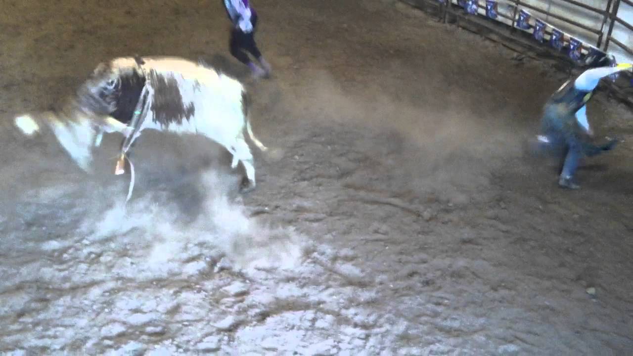 justin hoel bull riding - YouTube