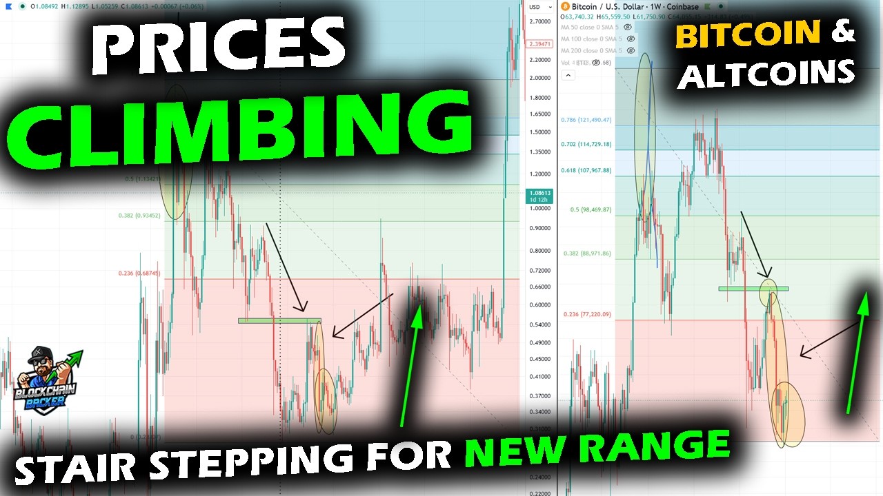 Technical Analysis of Crypto Market Bottoms: Beyond Time-Based Predictions
