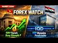 Iraqi Dinar 💵 Forex Watch: SBV Signals Dong Strength While IQD Remains Predictable