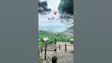 #رعد_الكردي #سورة_هود #quran #اكسبلور #المصحف #القزابري #لايك #راحة_نفسية #الرحمن #beautiful