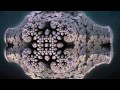 3D Fractal Animation: A Downbeat of Concrete Coral
