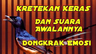 Kretekan Keras Dan Suara Awalannya Memancing Emosi Lawan @tlbentengkicau