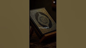استمع قران كريم والح سمعك وبصرك وقلبك وذهنك #قرآن #قران_كريم