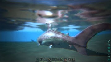 [S2Ark35] ARK: Survival Evolved: Pink Megalodon