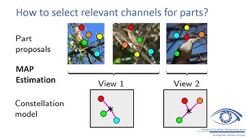 Part Discovery for Fine-Grained Classification