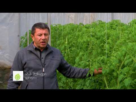 ი/მ აბას მუსაევი - სასათბურე მეურნეობა